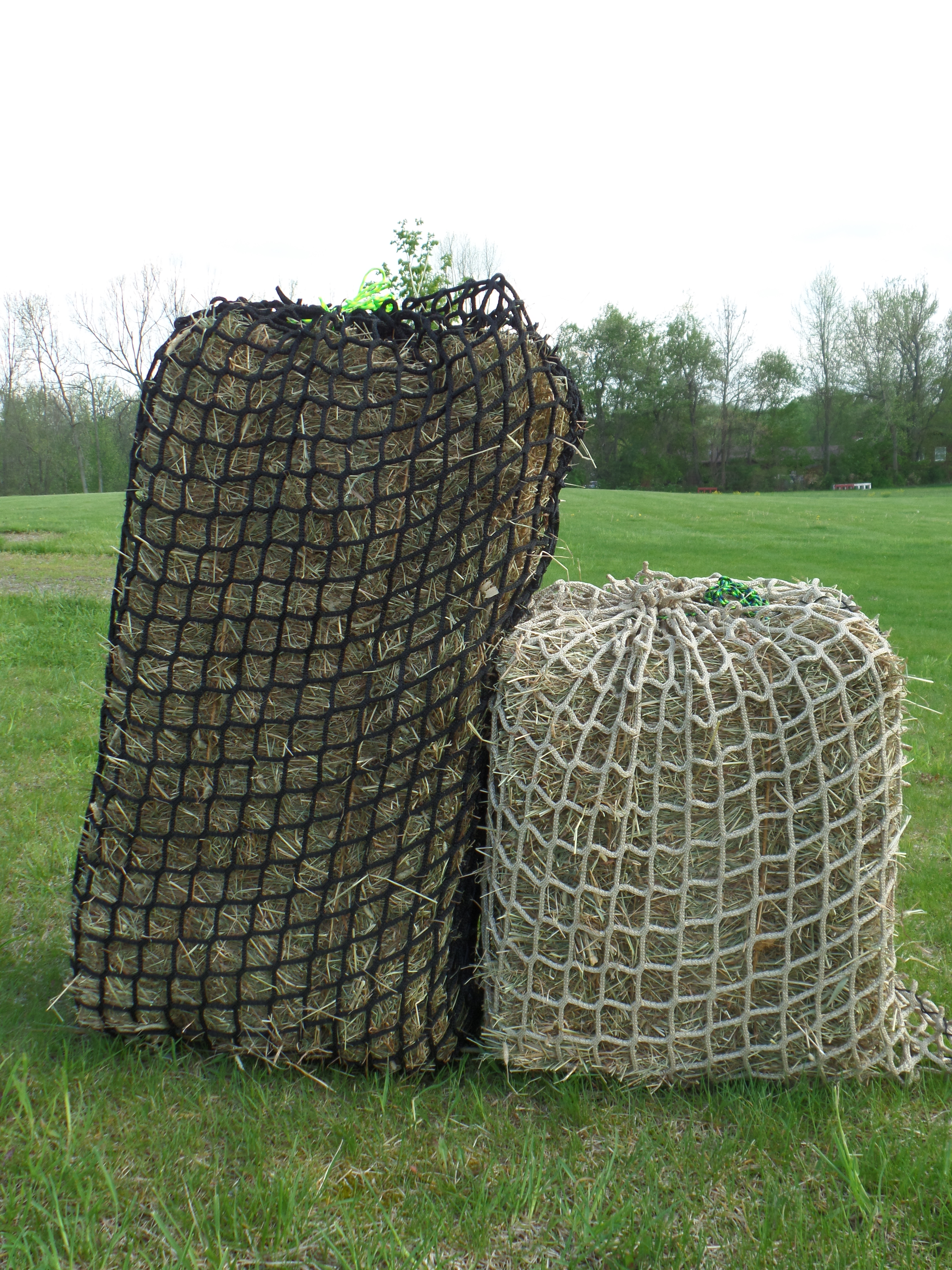 SAMSUNG CAMERA PICTURES Hay Burners Equine LLC