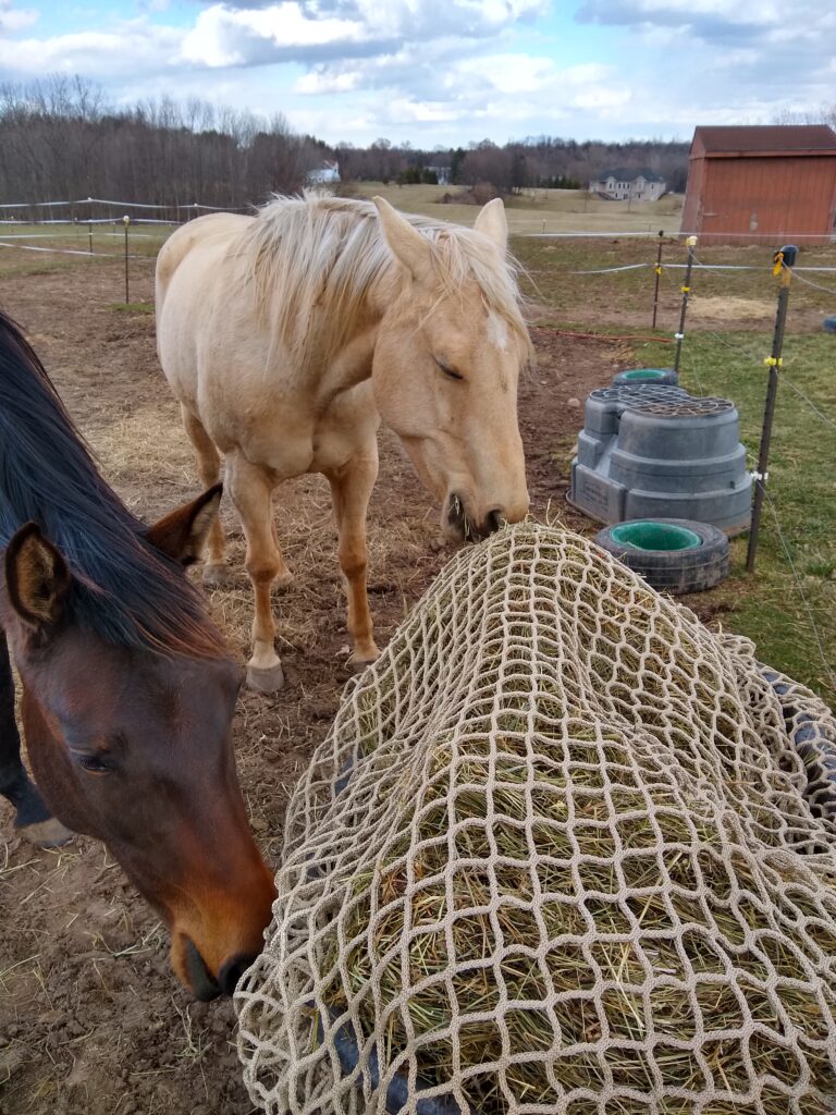 Haynet For Horses 2Pc Slow Feed Hay Nets For Horses,31.4