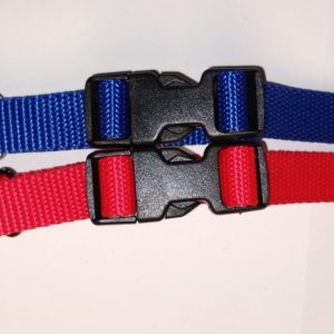 Buckle Strap Assembly