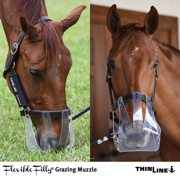 ThinLine Flexible Filly Grazing Muzzle 