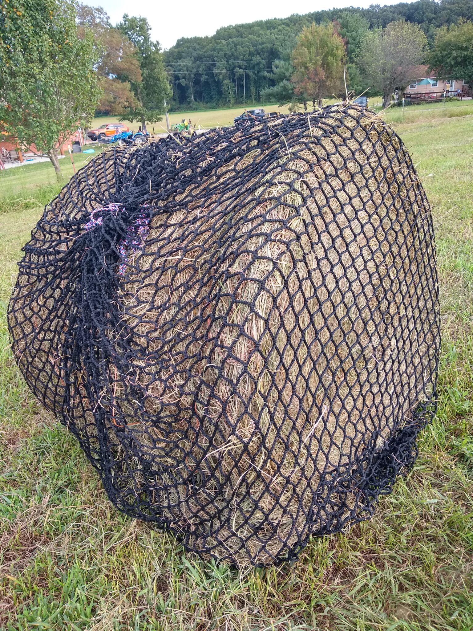 Slow Feed Hay Roll Nets Hay Burners Equine LLC